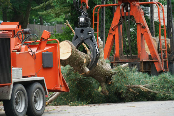 Best Lawn Watering Services  in Arlington, WA