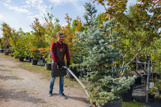 Mulching Services in Arlington, WA